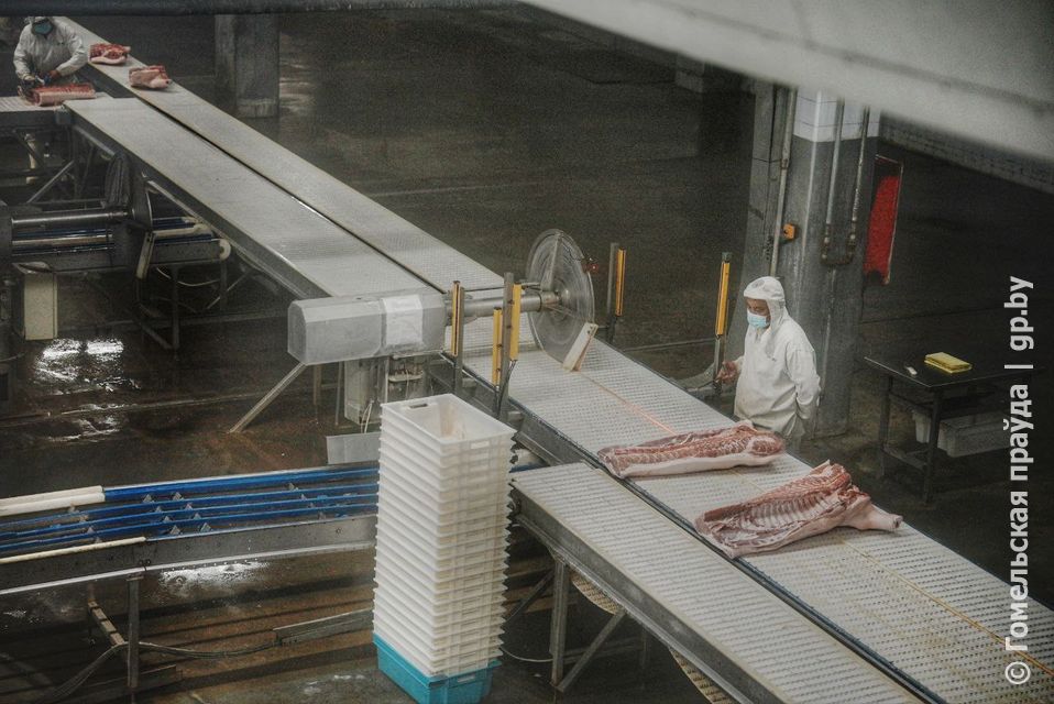 Сотрудничество в АПК: делегация из Гомельской области посетила предприятия провинции Цзилинь